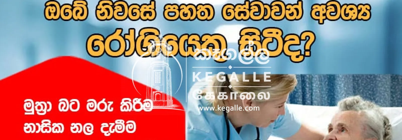 Hemmathagama home nursing